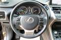 Lexus NX 300 NX300h Luxury Line/Leder/LED/Navi/AWD/20 Zoll/ Hnědá - thumbnail 11