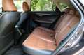 Lexus NX 300 NX300h Luxury Line/Leder/LED/Navi/AWD/20 Zoll/ Marrone - thumbnail 7