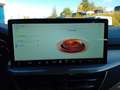 Ford Focus Turnier 1.0 MHEV Aut. TITANIUM *FahrAs.Pk*WinterPk Bleu - thumbnail 21