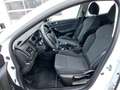 Renault Megane IV 1.2 TCe 115 Life GPF Klima*USB* Wit - thumbnail 9