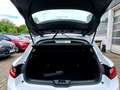 Renault Megane IV 1.2 TCe 115 Life GPF Klima*USB* Wit - thumbnail 5