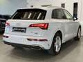 Audi Q5 50 TFSI e QUATTRO*S-LINE*LUFT*MATRIX*LANE*ACC* Weiß - thumbnail 5