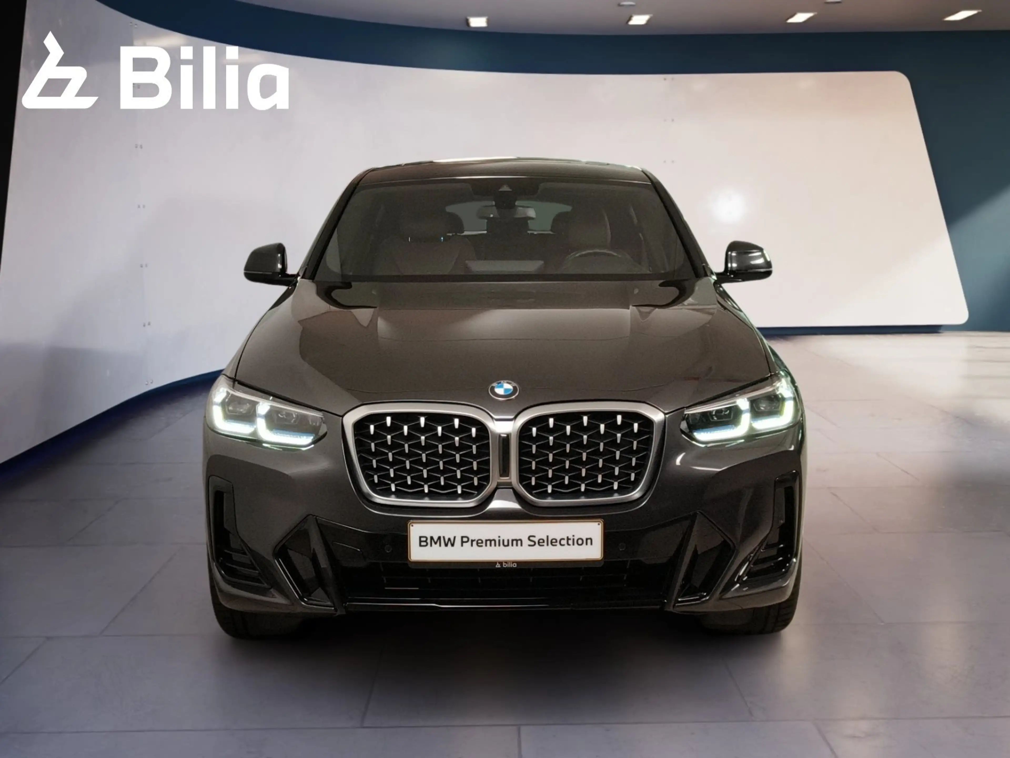 BMW X4 xDrive30d Head-Up HiFi DAB WLAN — photo 14