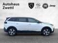 Peugeot 5008 GT Line BHDI130 EAT8 Weiß - thumbnail 7