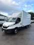 Iveco Daily 35S16 2.3hpi FURGONATO con SPONDA - ANNO 2022 Bianco - thumbnail 6