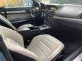 Mercedes-Benz E 250 E Cabrio 250 cdi be Avantgarde - targa EG278JB Blu/Azzurro - thumbnail 10