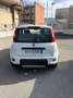 Fiat Panda 1.0 firefly hybrid City Life s&s 70cv Bianco - thumbnail 6