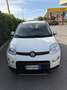 Fiat Panda 1.0 firefly hybrid City Life s&s 70cv Bianco - thumbnail 5