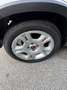 Fiat Panda 1.0 firefly hybrid City Life s&s 70cv Bianco - thumbnail 8