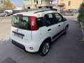 Fiat Panda 1.0 firefly hybrid City Life s&s 70cv Bianco - thumbnail 7
