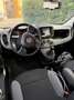 Fiat Panda 1.0 firefly hybrid City Life s&s 70cv Bianco - thumbnail 10