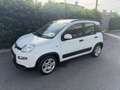 Fiat Panda 1.0 firefly hybrid City Life s&s 70cv Bianco - thumbnail 1