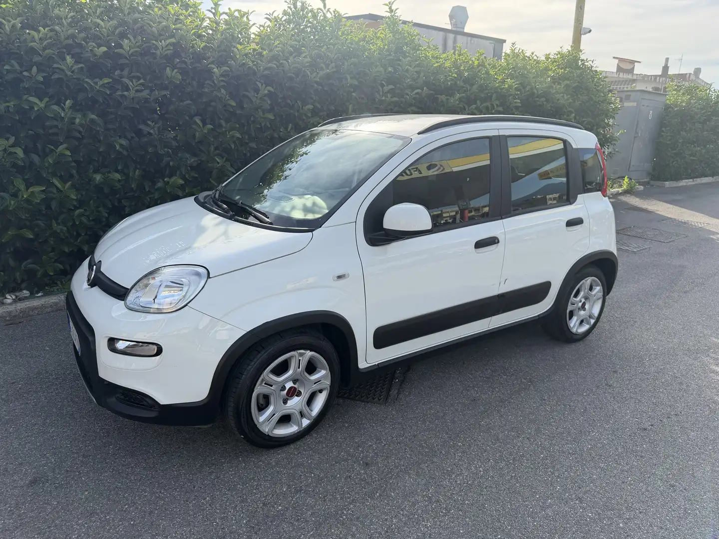 Fiat Panda 1.0 firefly hybrid City Life s&s 70cv Bianco - 1