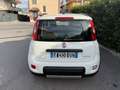 Fiat Panda 1.0 firefly hybrid City Life s&s 70cv Bianco - thumbnail 3