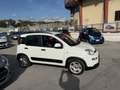 Fiat Panda 1.0 firefly hybrid City Life s&s 70cv Bianco - thumbnail 4