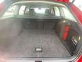 Skoda Octavia Combi 1,6 Style Limited TDI 4x4 * ACC * Erstbes... Rouge - thumbnail 42