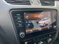 Skoda Octavia Combi 1,6 Style Limited TDI 4x4 * ACC * Erstbes... Rot - thumbnail 16