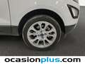 Ford EcoSport 1.0 EcoBoost Trend 100 (4.75) Bianco - thumbnail 30