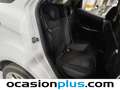 Ford EcoSport 1.0 EcoBoost Trend 100 (4.75) Bianco - thumbnail 12