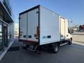 Iveco Daily 60C15 Frigo FRCX -20°C Dic 2027 ATP E6B kg 2560 Blanco - thumbnail 5