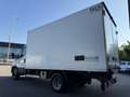 Iveco Daily 60C15 Frigo FRCX -20°C Dic 2027 ATP E6B kg 2560 Blanco - thumbnail 7