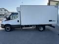Iveco Daily 60C15 Frigo FRCX -20°C Dic 2027 ATP E6B kg 2560 Blanco - thumbnail 3