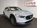 Mazda CX-30 G140 AT PRIME-LINE 2,5L HUBRAUM Weiß - thumbnail 16