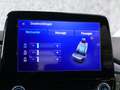 Ford Puma 1.0 EcoBoost Hybrid Titanium | WINTER PACK | MASSA Blauw - thumbnail 20
