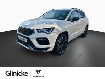 1.5 TSI 110 kW DSG TopView el.Heckklappe