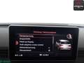 Audi SQ5 SQ5 3.0 TFSI qu LUFT,STANDHZ,PANO,MATRIX,HUD,21Z Negro - thumbnail 20