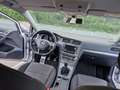 Volkswagen Golf Golf Alltrack 1.6 CR TDi 4Motion Gris - thumbnail 8