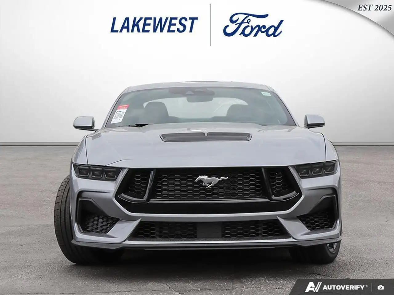 Ford Mustang fotografie Ford Mustang
