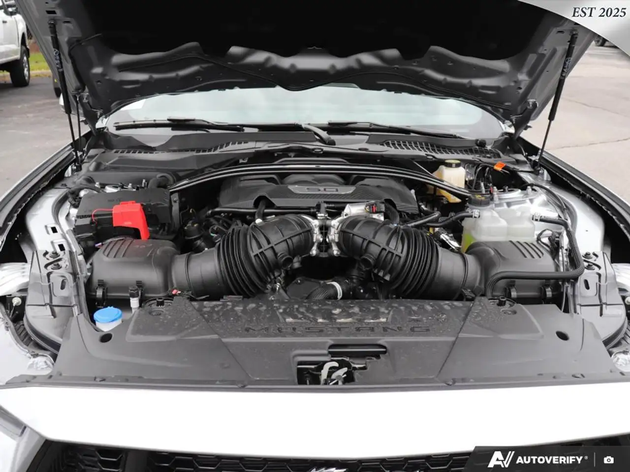 Ford Mustang fotografie Ford Mustang
