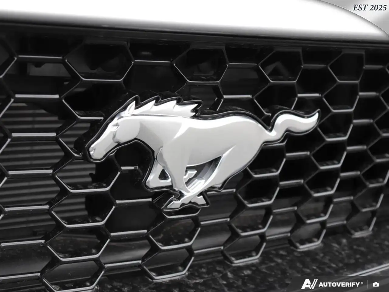Ford Mustang fotografie Ford Mustang