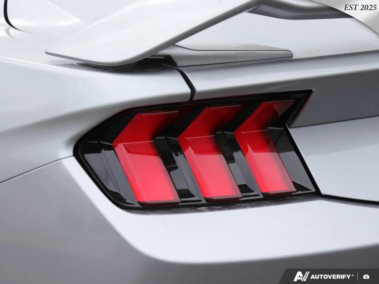 Ford Mustang fotografie Ford Mustang