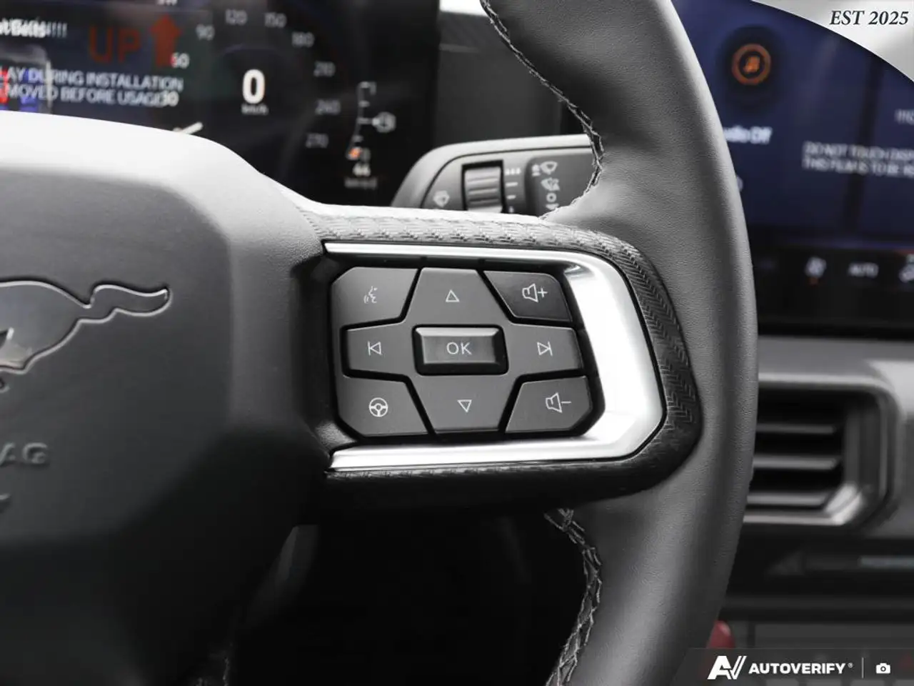 Ford Mustang fotografie Ford Mustang