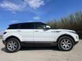 Land Rover Range Rover Evoque 5p 2.2 td4 Prestige 150cv - thumbnail 5