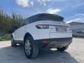 Land Rover Range Rover Evoque 5p 2.2 td4 Prestige 150cv - thumbnail 3