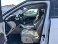 Land Rover Range Rover Evoque 5p 2.2 td4 Prestige 150cv - thumbnail 7