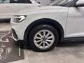 Audi A1 CITYCARVER 30TFSI S-TRONIC LED-CLIMA Bianco - thumbnail 12