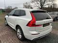 Volvo XC60 XC60 R Design AWD Bianco - thumbnail 4