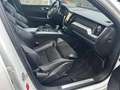 Volvo XC60 XC60 R Design AWD Bianco - thumbnail 11
