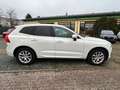 Volvo XC60 XC60 R Design AWD Bianco - thumbnail 8