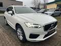 Volvo XC60 XC60 R Design AWD Bianco - thumbnail 2