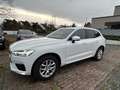Volvo XC60 XC60 R Design AWD Bianco - thumbnail 6
