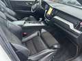 Volvo XC60 XC60 R Design AWD Bianco - thumbnail 13
