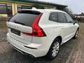 Volvo XC60 XC60 R Design AWD Bianco - thumbnail 5