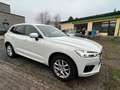 Volvo XC60 XC60 R Design AWD Bianco - thumbnail 9