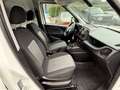 Fiat Doblo SX Maxi Kasten Professional 1 J. Garantie Alb - thumbnail 13