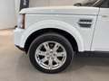 Land Rover Discovery Discovery 4 3.0 SDV6 245CV SE Bianco - thumbnail 8